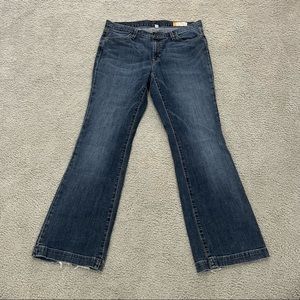 Gap- Long and Lean Stretch Jeans. Boot Cut Style.  Size 12 reg.